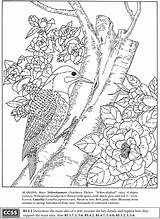 Coloring Pages Birds Color Dover Publications Book Flower Bird Welcome Colouring Flowers Samples Adults State Boost Nature Books Doverpublications Zb sketch template