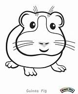Guinea Pig Coloring Pages Cute Clipart Color Printable Kids Print Critter Book Ginnie Getcolorings Library Popular Unclebills Coloringhome Books Twitter sketch template