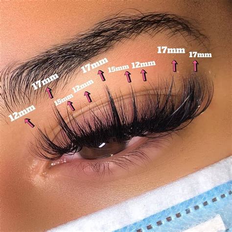 eyelash strips  individual lashes verrolyne training