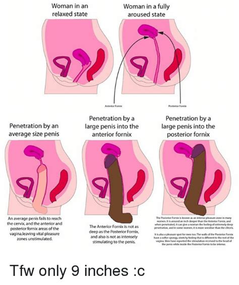 deep cervix penetration porno photo