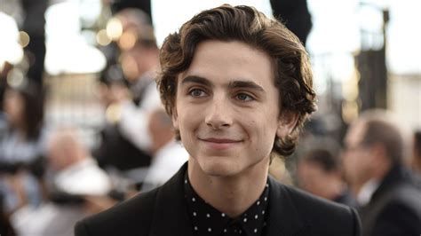a timothée chalamet fan shared what it was like meeting him on a plane