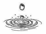 Water Drop Ripples Drawing Ripple Sketch Vector Stock Drawings Premium Illustration Freeimages Paintingvalley Istock Getty sketch template
