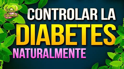 3 remedios caseros para controlar la diabetes remedios caseros para el diabetes youtube