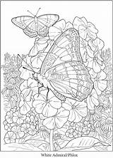 Coloring Pages Butterfly Book Doverpublications Flower Garden Gardens Adult Publications Dover Printable Haven Creative sketch template