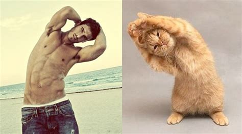 sexy dudes and equally sexy kittens strike the same pose technabob