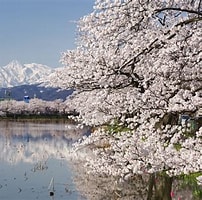 新潟県 wikipedia に対する画像結果.サイズ: 202 x 200。ソース: discoversg.com