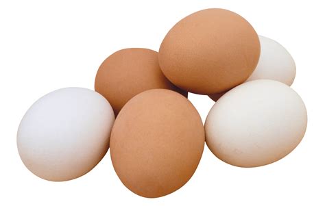 eggs health benefits  nutrition facts