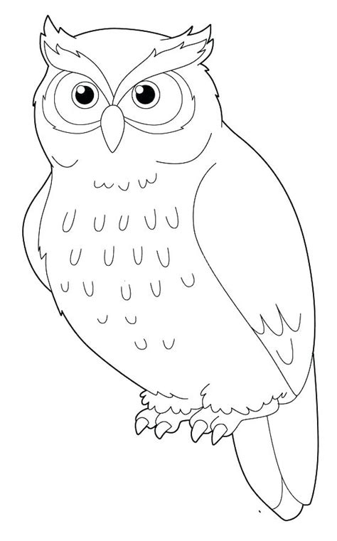 owl coloring pages  getcoloringscom  printable colorings pages