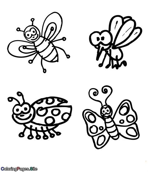 insects coloring pages  preschoolers subeloa