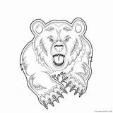 Grizzly Coloring Mascot Coloring4free sketch template