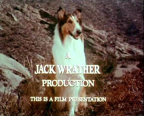 watch lassie season 2 0 full movie fmovies