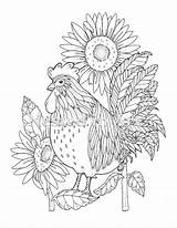 Rooster Gallo Girasoli Sunflowers sketch template