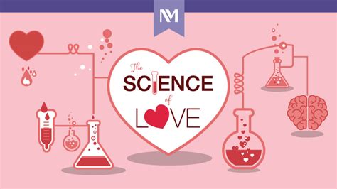 the science of love infographic northwestern medicine