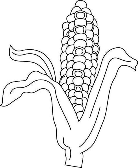 picture  indian corn coloring page coloring sun coloring pages