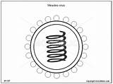 Measles Virus Drawing Respiratory Syncytial Illustration Diagram Illustrations Getdrawings Included Following Toolkit sketch template