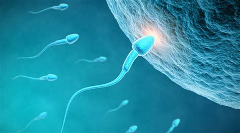 How Sperm Banks Are Using Masculinity To Buy Sperm Donors Time Life