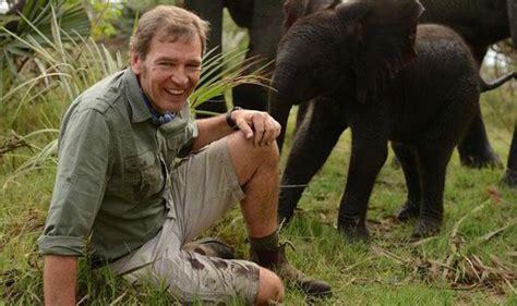 tv vet mark evans on born in the wild and inside nature s