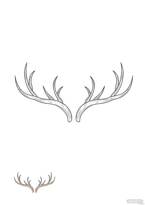 deer head coloring page  templatenet