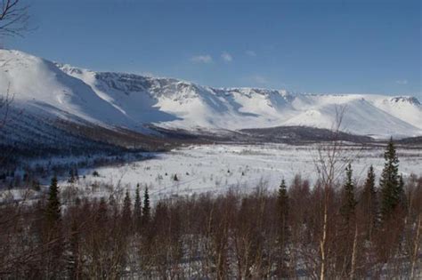 insider facts  tundra  russia  desire   learn russian language