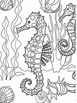 Dover Publications Coloring Sea Under Seahorse Adventure Sample Book Pages sketch template