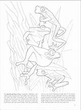 Camouflage Coloring Pages Comments Library Clipart Line sketch template