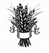 Wheat Coloring Pages Eggplant Pepper Sheaf sketch template