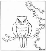 Owl Coloring Pitara Pages sketch template