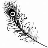 Feather Peacock Clipart Silhouette Clip Drawing Feathers Pankh Mor Simple Line Flute Doodle Tattoo Tail Google Transparent Successful Coloring Search sketch template