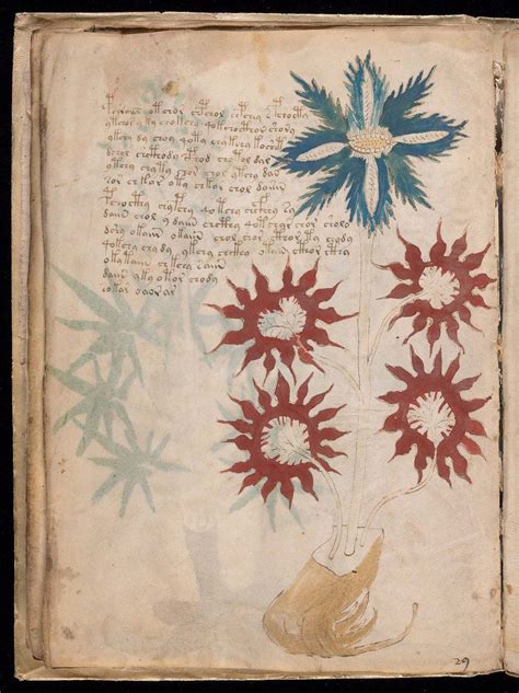 voynich manuscript medieval ciphertext illuminated texts