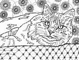 Coloring Cat Pages Adults Cats Book Lovers Books Cleverpedia Adult Designs Relieving Stress Meow Part Colouring Feline Fabulous sketch template