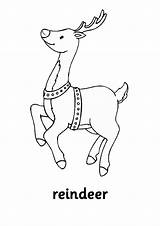 Reindeer Coloring Pages Kids Printable Print Coloringkids sketch template