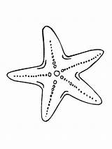 Starfish Printable sketch template