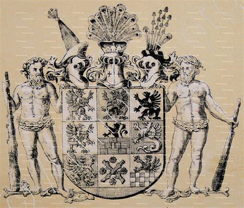 herzogtum pommern coat  arms heraldry etymology  origin