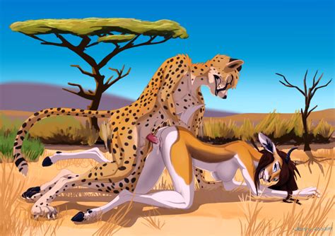 Rule 34 Achoo Antelope Cheetah Cum Cum In Pussy Cum