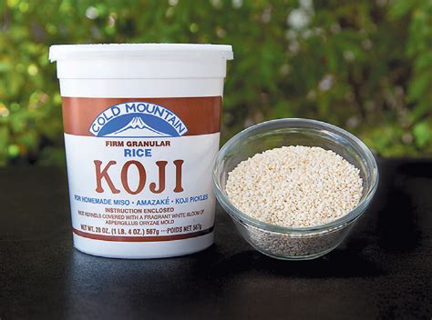 shio koji marinade edible phoenix