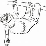 Coloring Pages Sloth Printable Sloths Print 30seconds Relax Slow Mom Down Help Tip sketch template