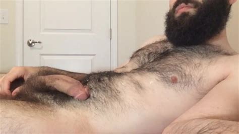 Gay Cubs Bear Hairy Bearded Guys Compilation Vol 7 Porn B0 Xhamster