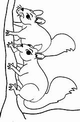 Squirrel Eekhoorn Coloring Cartoon Pages Clipart Kleurplaten Kleurplaat Print Color Kids Cliparts Fun Van Library sketch template