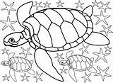 Starfish Turtles Seaside Rooftoppost Homecolor sketch template