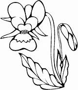 Flori Coloriage Orchidee Pages Fleurs Colorat Orchid Desene Violette Planse Orquidea Coloriages Copii Ludinet Ranunculus Pintar Bestappsforkids Trafic Qdb sketch template