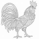Coloring Rooster Stylized Zentangle Isolated Cock Cartoon Print sketch template