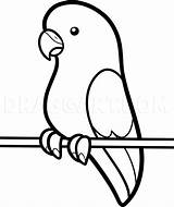 Parakeet Drawing Kids Drawings Draw Outline Birds Easy Step Bird Simple Parrot Clipart Colouring Animals Dragoart Cliparts Coloring Library Kid sketch template