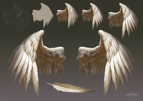 wings png bird wings photo reference art reference  wings