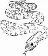 Coloring Anaconda Pages Getcolorings Snake sketch template
