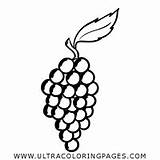 Uva Grape Ultracoloringpages sketch template