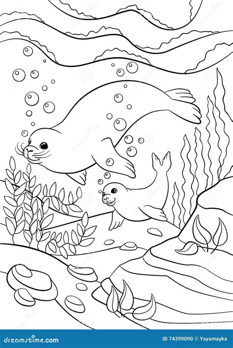 baby seal pup pages coloring pages