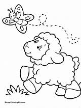 Lamb Itl sketch template
