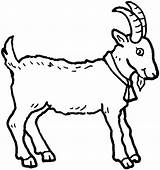 Coloring Pages Goat Bleating Goats sketch template