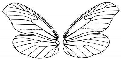 image details karens whimsy butterfly wings pattern butterfly
