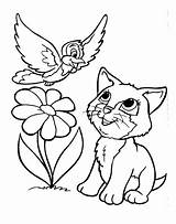Coloring Pages Kitten Adults Adult Getcolorings Printable sketch template